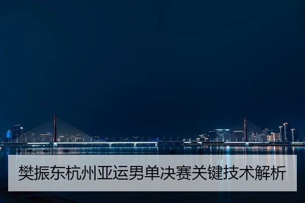 樊振东杭州亚运男单决赛关键技术解析